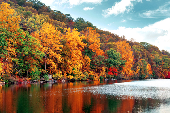 Amazing Fall Color in Upstate NY :: Baseball Hall of Fame, Hiking & More!
